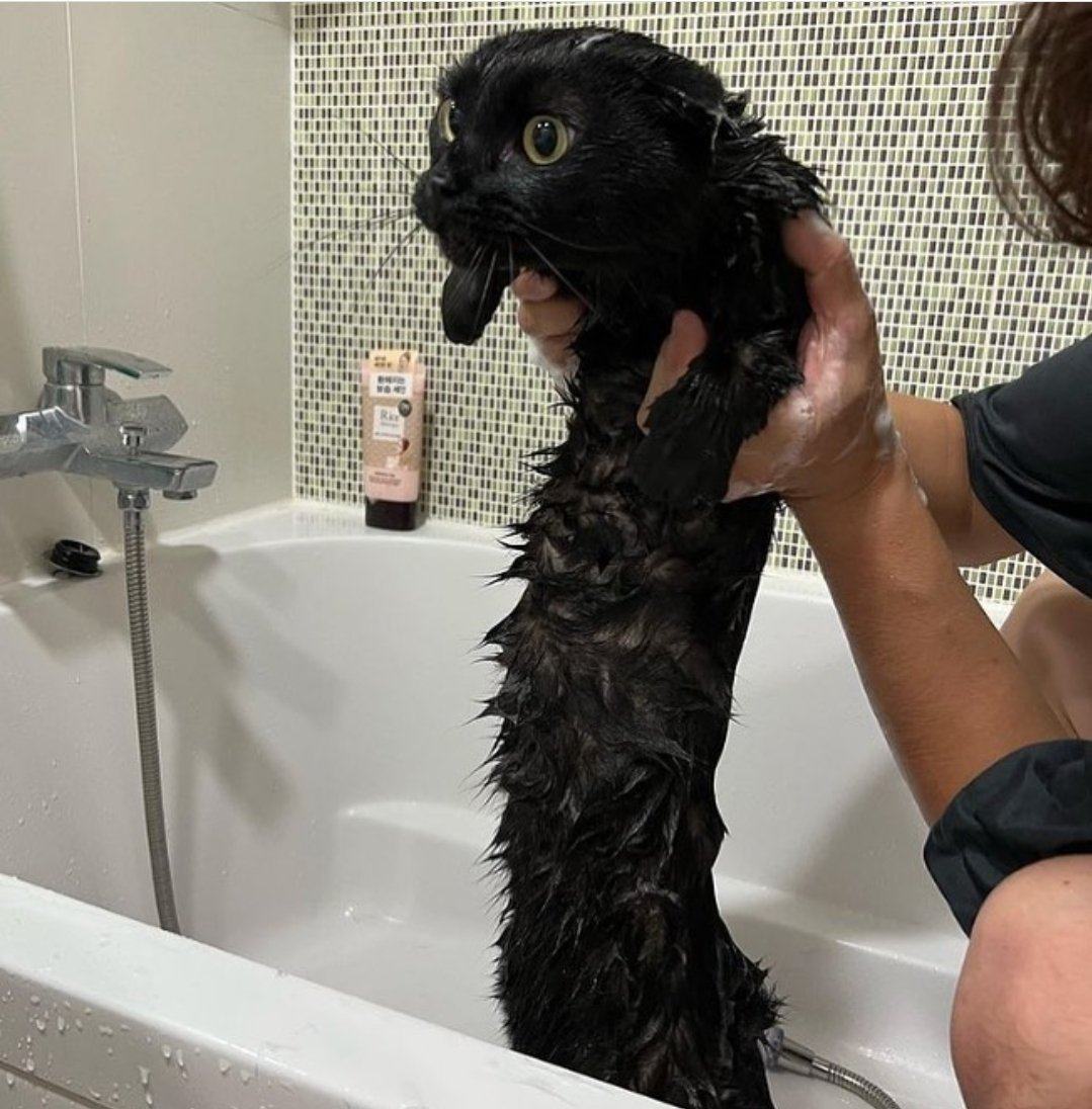 Obrázek Wet pussy
