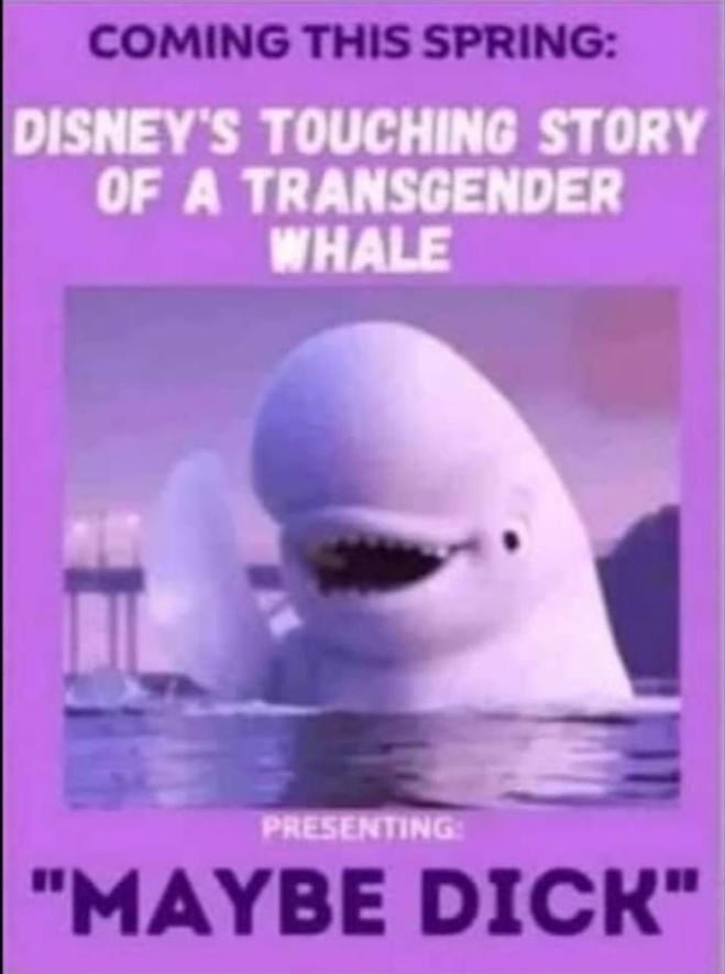 Obrázek Whale of Woke