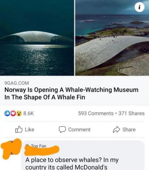 Obrázek Whale watching
