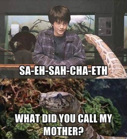 Obrázek What Harry really said