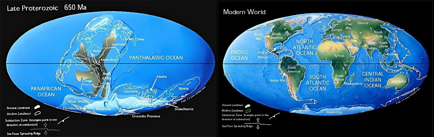 Obrázek What difference 650 million years make 02-01-2012