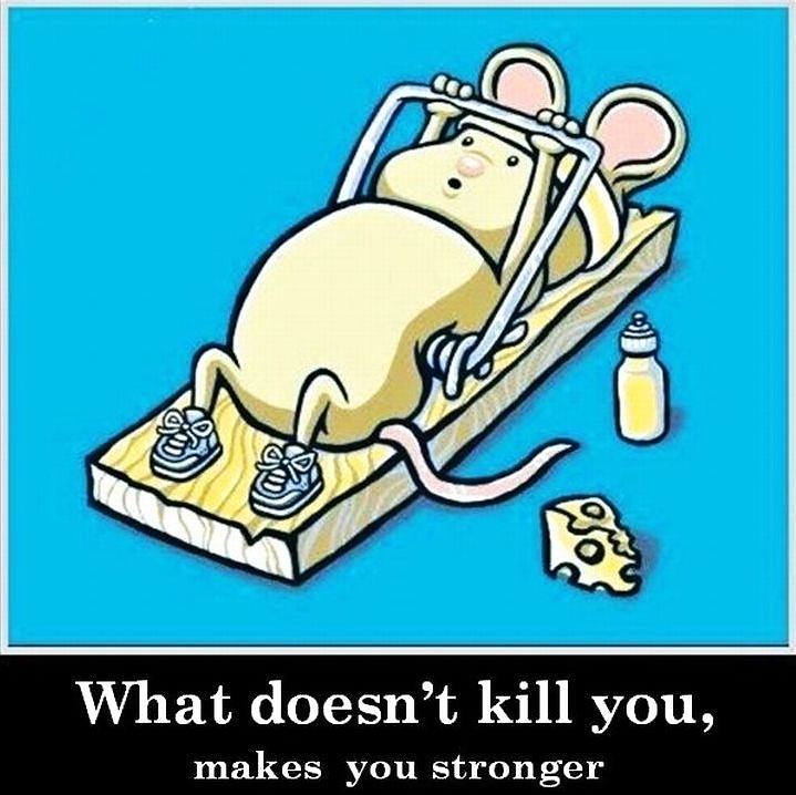 Obrázek What doest not kill you 15-02-2012