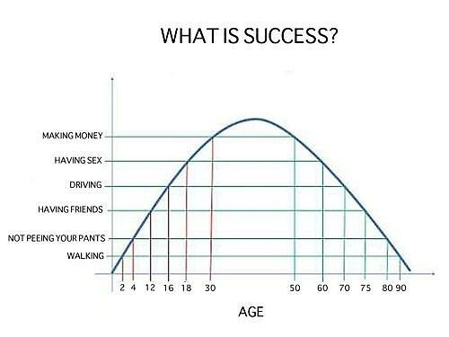 Obrázek What is success