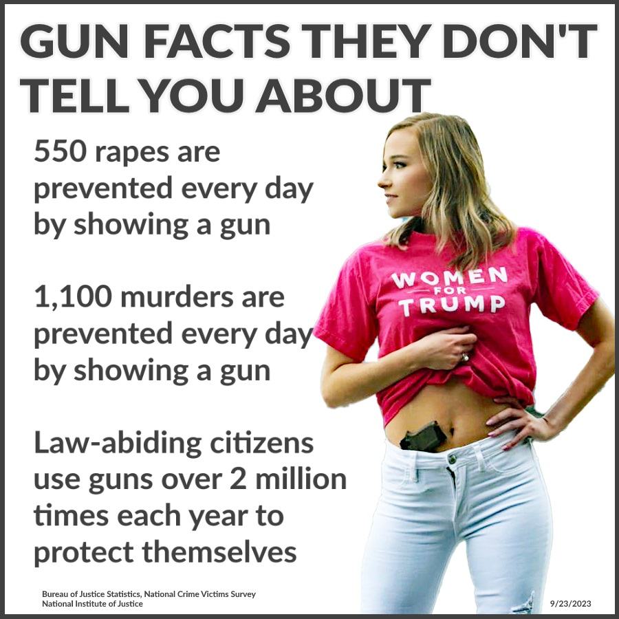 Obrázek What they dont tell you about guns