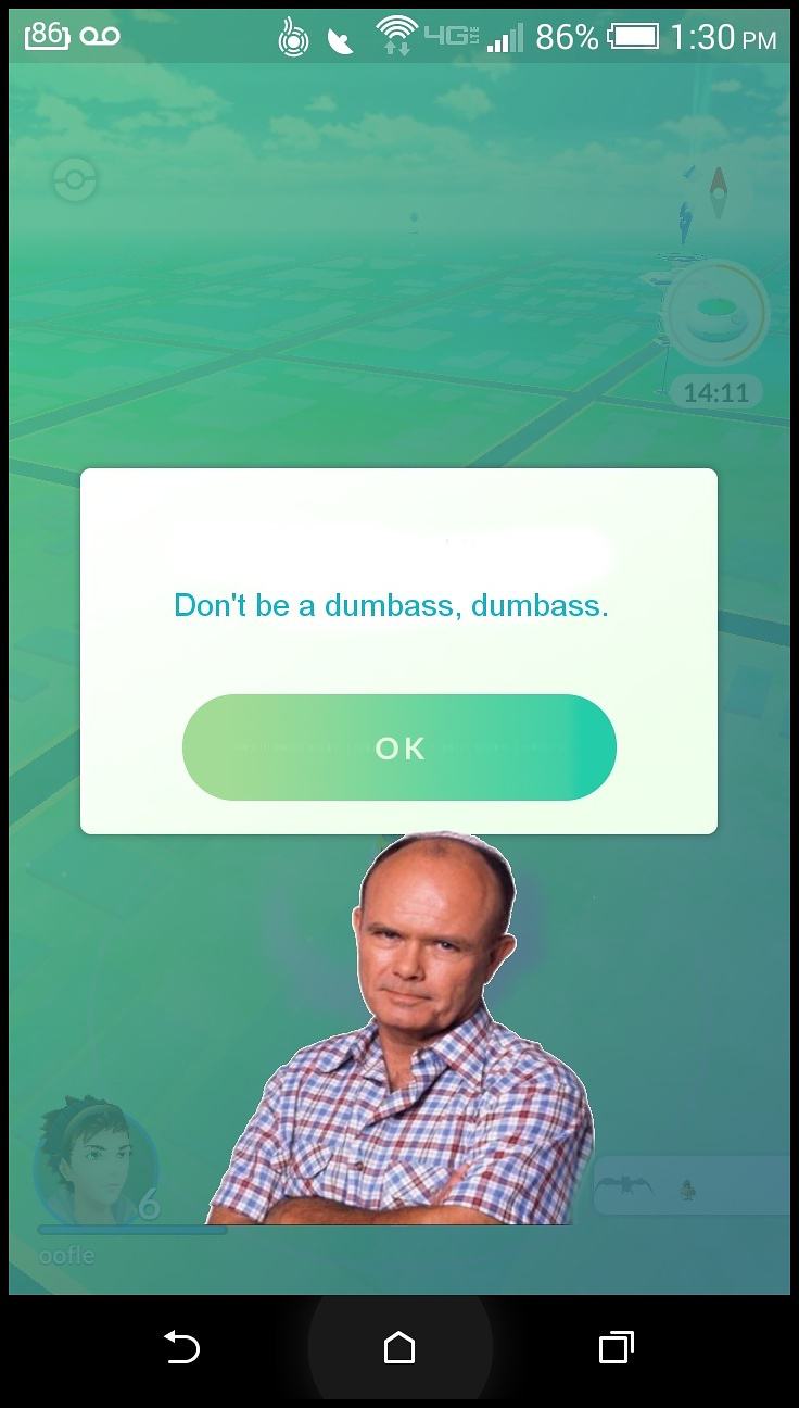Obrázek What they really wanted to use for the PokemonGo Safety warnings