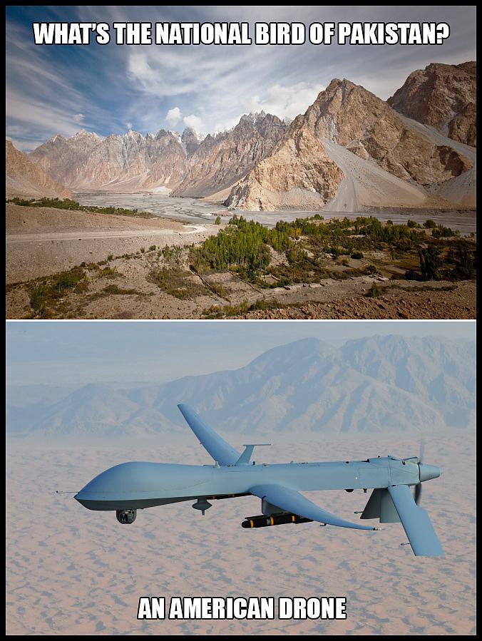Obrázek Whats The National Bird of Pakistan