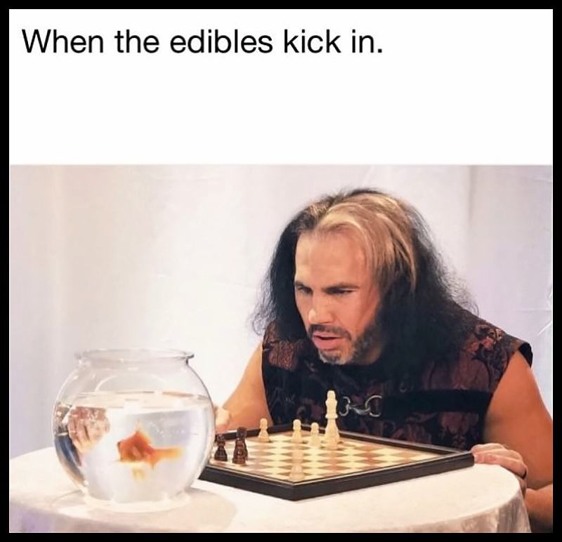 Obrázek When Edibles Kick IN