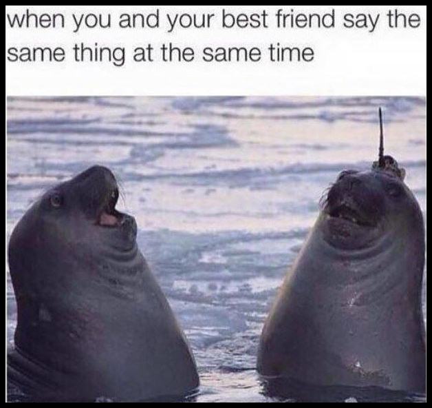 Obrázek When You And Your Friend Say The Same Thing