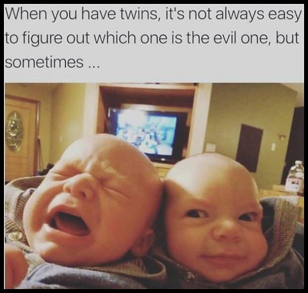 Obrázek When You HAVE Twins