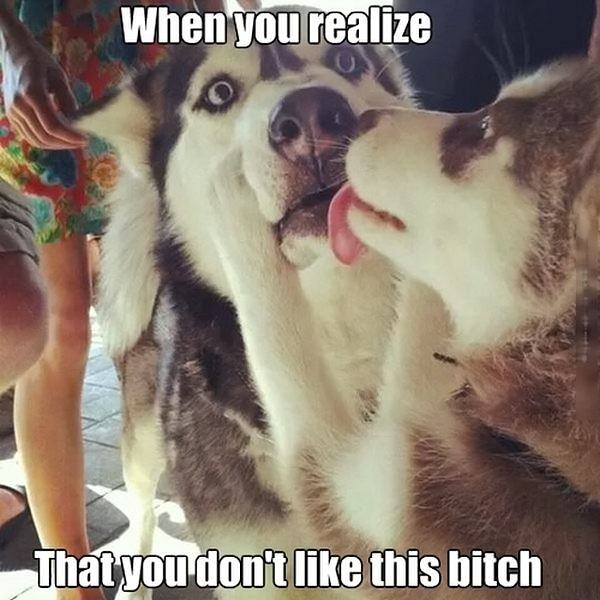 Obrázek When You Realize