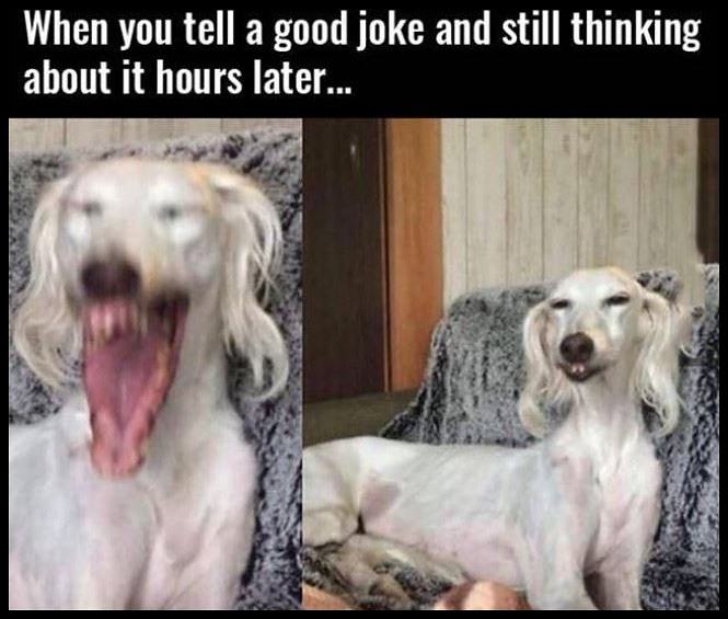 Obrázek When You Tell A Good Joke
