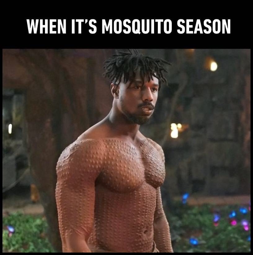 Obrázek When mosquito season starts   