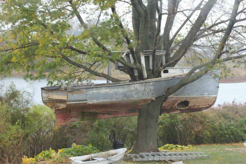 Obrázek When the bough breaks