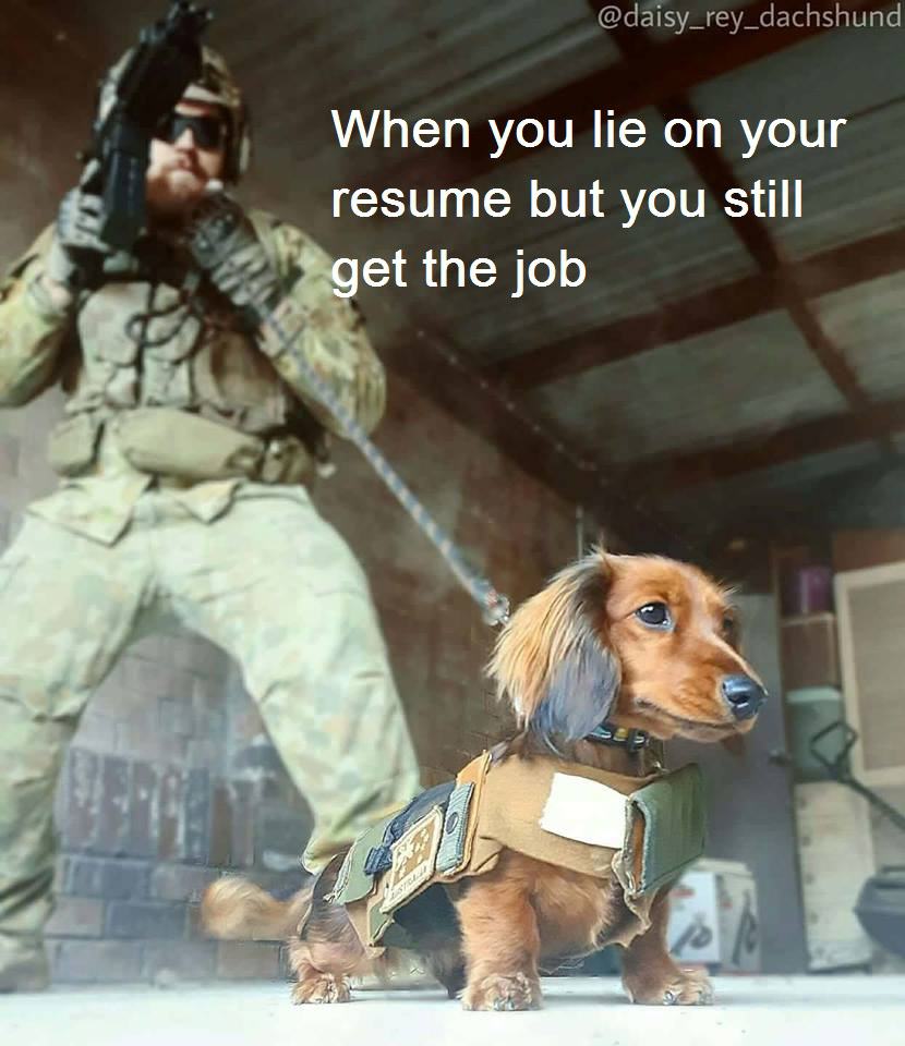 Obrázek When you lie on your resume but you still get the job