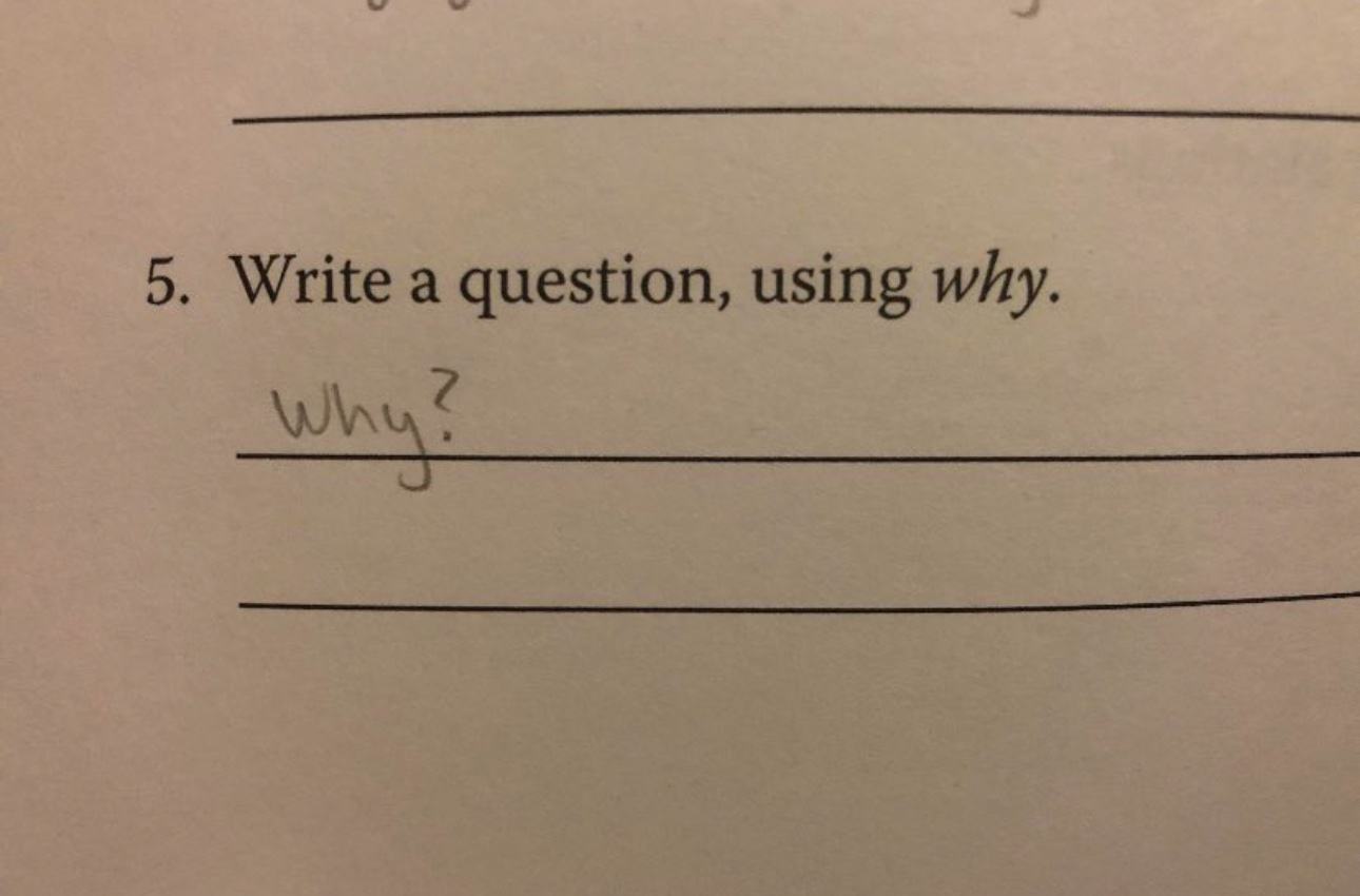 Obrázek Why