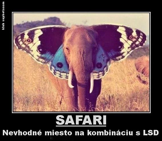 Obrázek Why Safari And LSD Dont Mix 27-02-2012