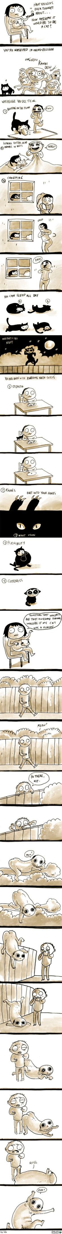Obrázek Why being a cat is awesome