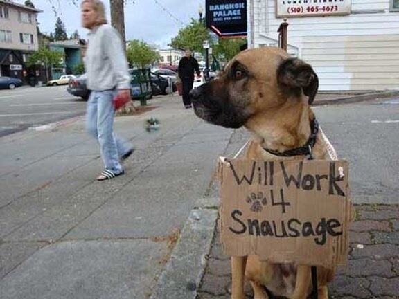 Obrázek Will Work 4 Snausage 