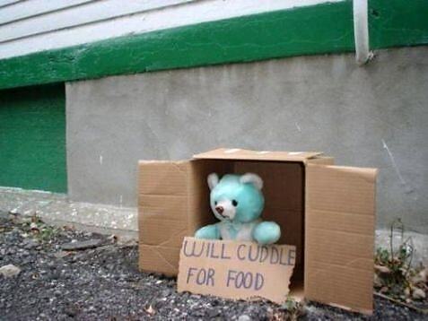 Obrázek Will cuddle for food