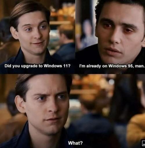 Obrázek Windows and dorks
