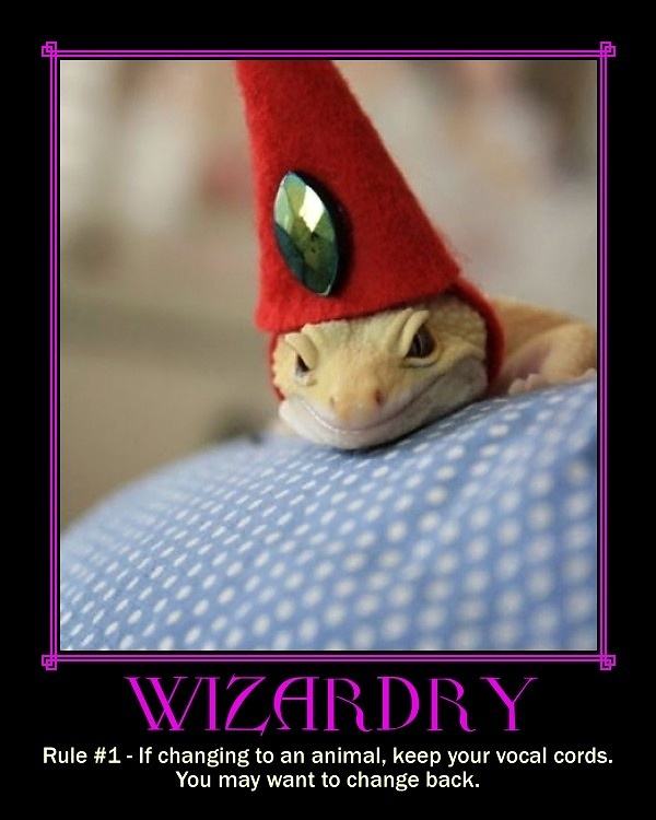 Obrázek Wizardry - 14-05-2012