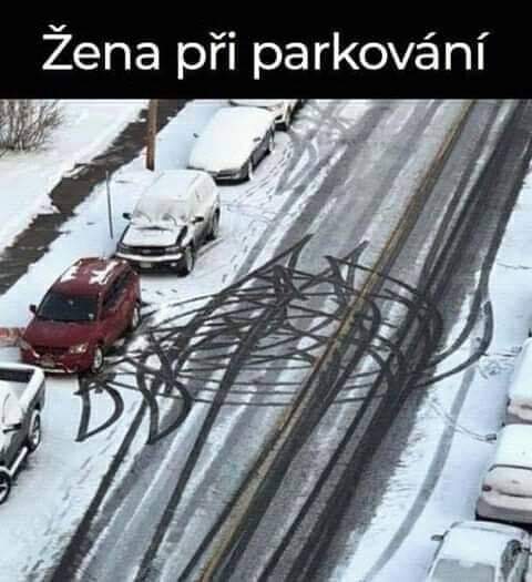 Obrázek Woman parking