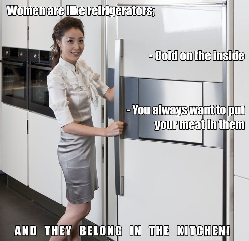 Obrázek Women are like refrigerators