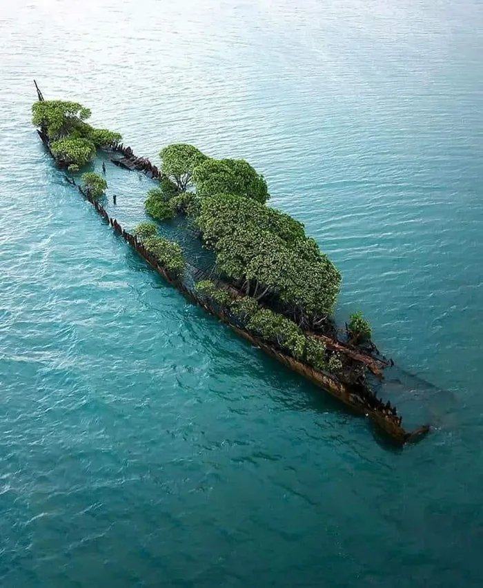 Obrázek Wreck-Island