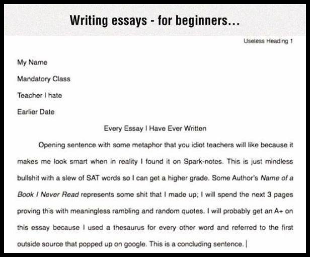 Obrázek Writing Essays