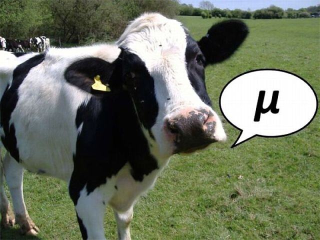 Obrázek X- Cow