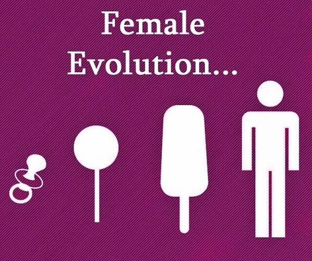 Obrázek X- Female evolution