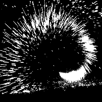 Obrázek X- Fireworks