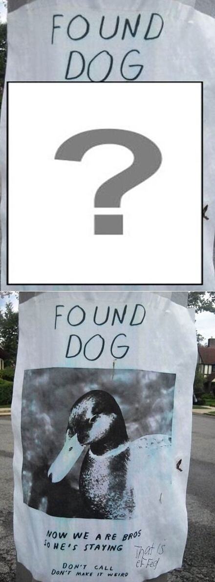 Obrázek X- Found Dog