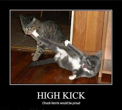 Obrázek X- High Kick