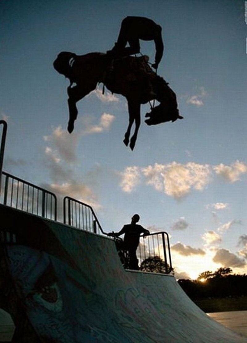 Obrázek X- Horse On Half-Pipe