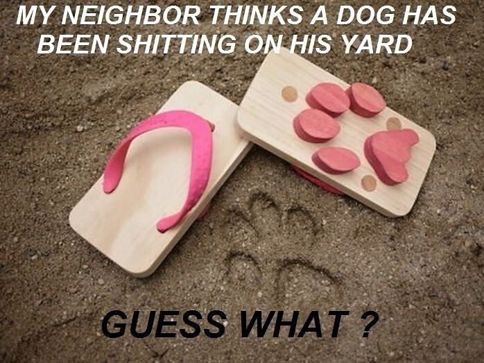 Obrázek X- Neighbors you so silly