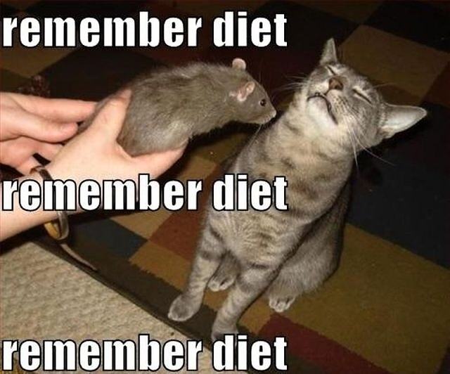 Obrázek X- Remember diet