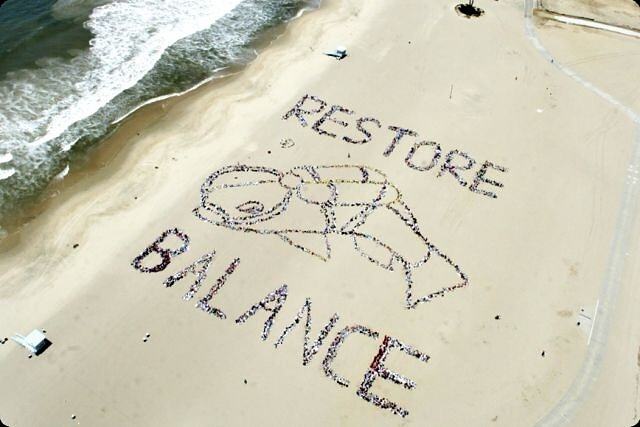 Obrázek X- Restore Balance