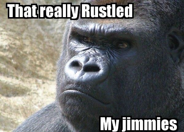 Obrázek X- Rustled My Jimmies