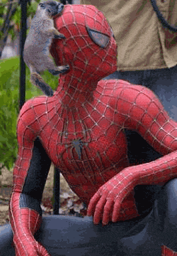 Obrázek X- Spiderman