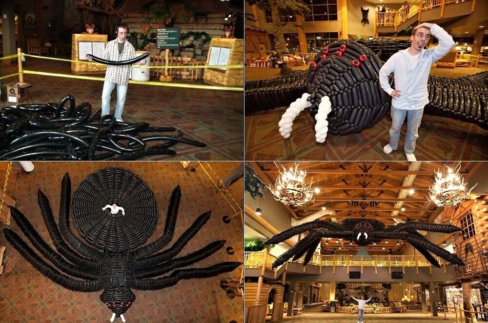 Obrázek X- The Largest Modelling Balloon Spider in the World