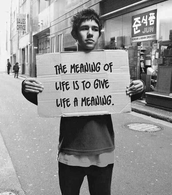 Obrázek X- The meaning of life is to give life a meaning