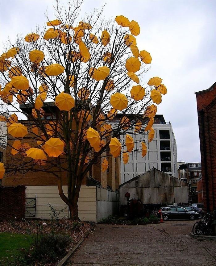 Obrázek X- Umbrellas tree 