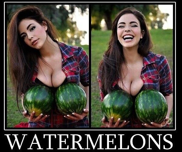 Obrázek X- Watermelons