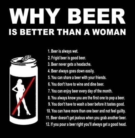 Obrázek X- Why Beer Is Better Than A Woman