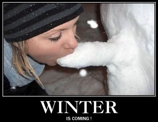 Obrázek X- Winter Is Coming