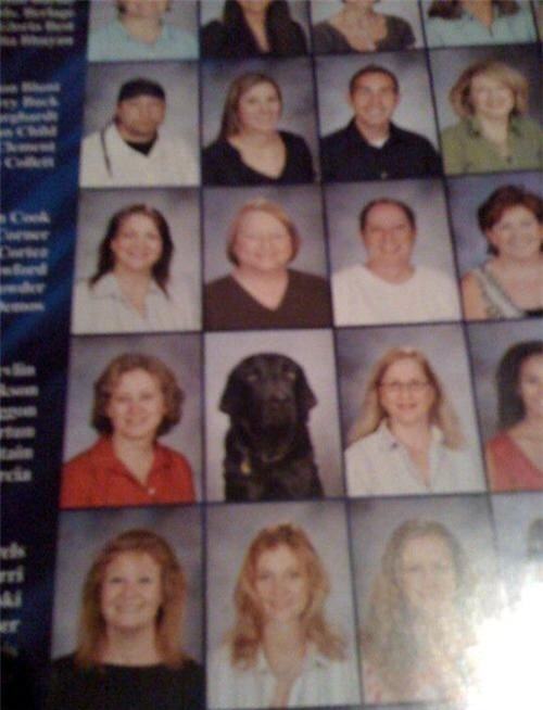 Obrázek Yea Dawg Yearbook