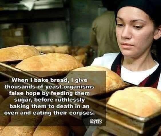 Obrázek YeastLivesMatter