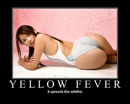 Obrázek Yellow Fever - 27-04-2012