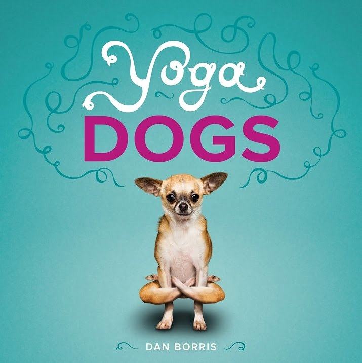 Obrázek Yoga dogs